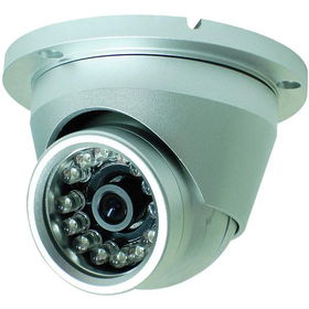 Weatherproof Color CCD Camera With IR LEDs