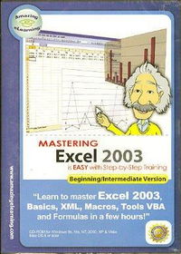 Bdg Publishing Learning Excel 2003bdg 