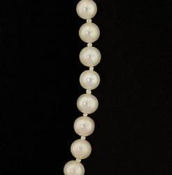 White Pearl and Gold Necklacewhite 