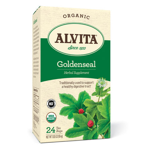 Alvita Teas Goldenseal Tea - Organic - 24 Tea Bags