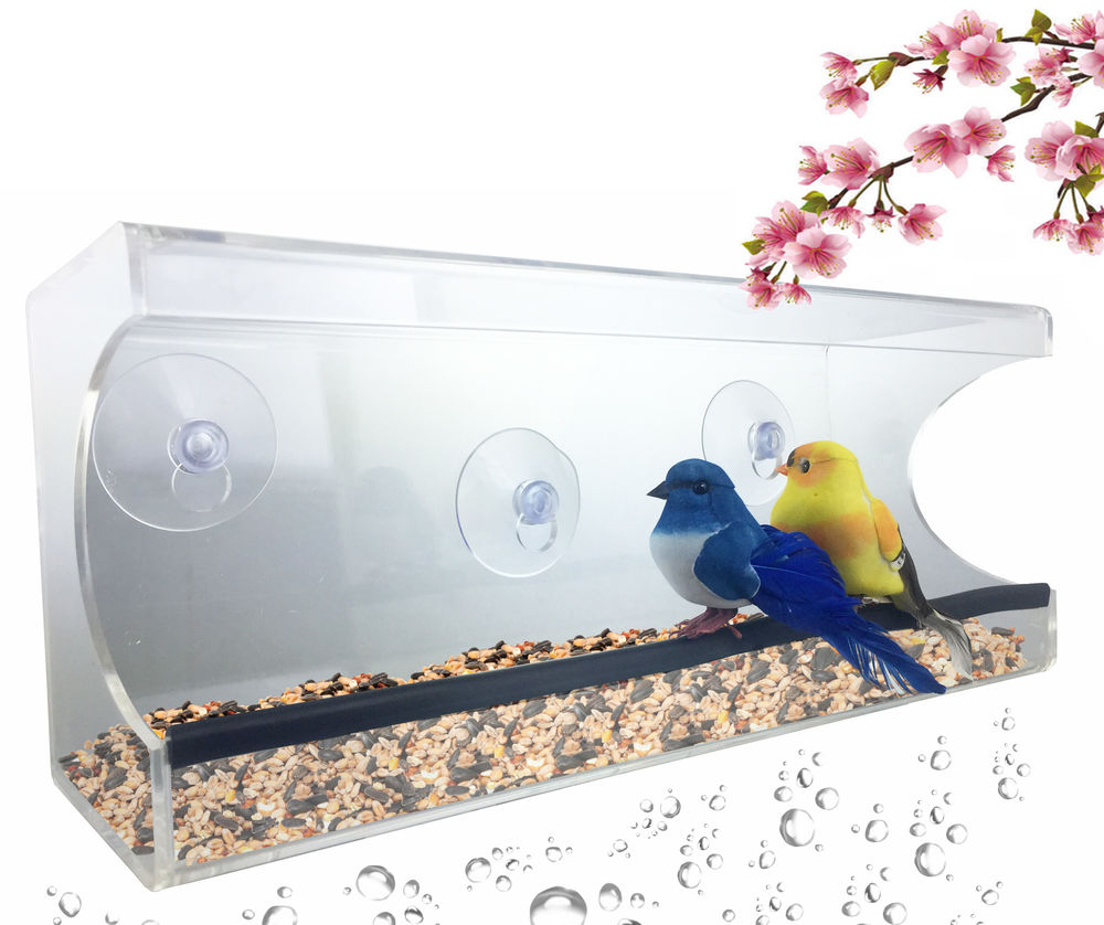 Large Window Suction Cup Bird Feeder Clear Removable Tray