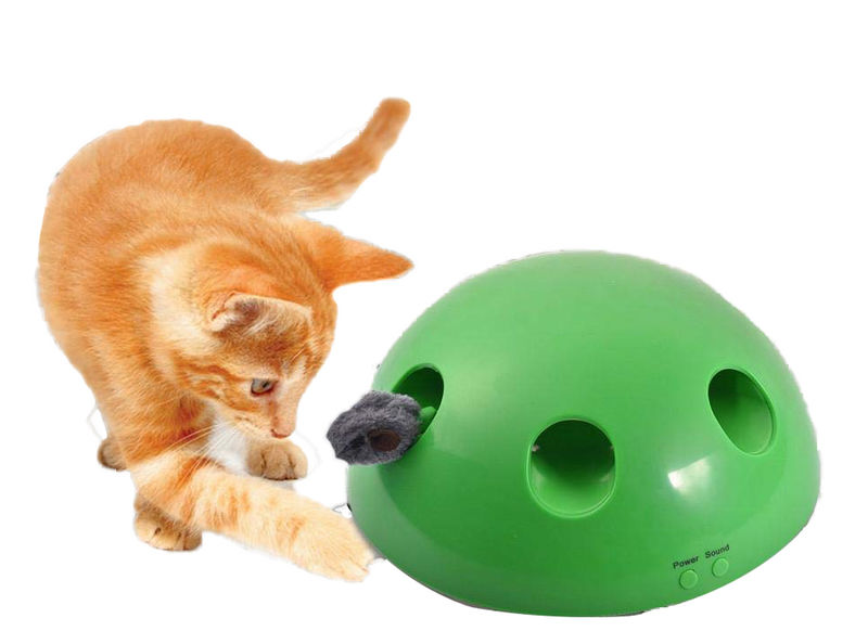 pop and play toy for cats