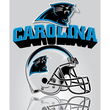 Carolina Panthers Light Weight Fleece NFL Blanket (Grid Iron) (50x60)